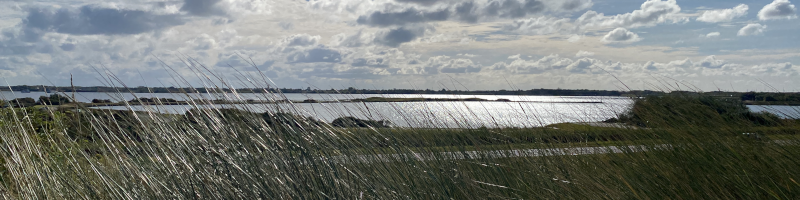 Ein Blick über Wasser und Schilf unter einem weiten, bewölkten Himmel.